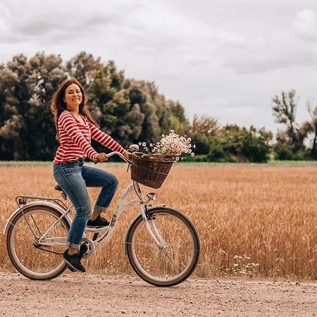 Ibis Budget Maastricht Отель